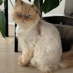 Meet your Posher, Sabrina